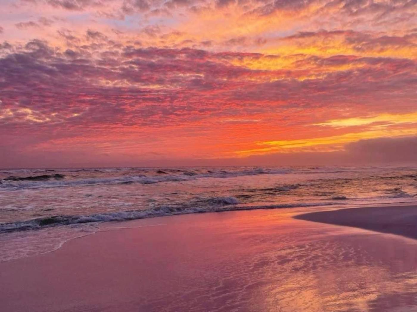 5 Star Resort 11Th Fl Stunning Sunrise 2Br 2Ba King Suite,Pools ,Shuttle Or Walk To Beach Destin Eksteriør bilde
